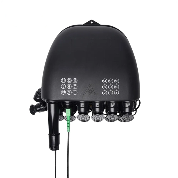 What types of switches are used in Afghanistan s access networks