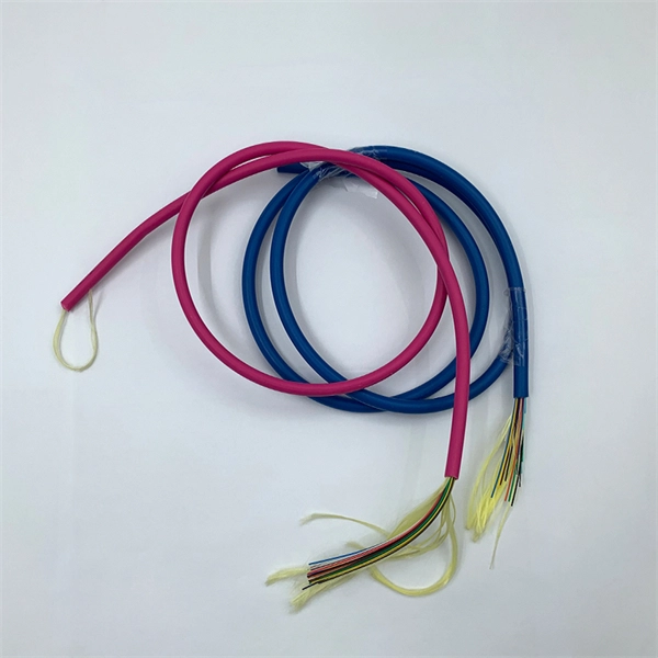 24-Port Fiber Optic Adapter Panel
