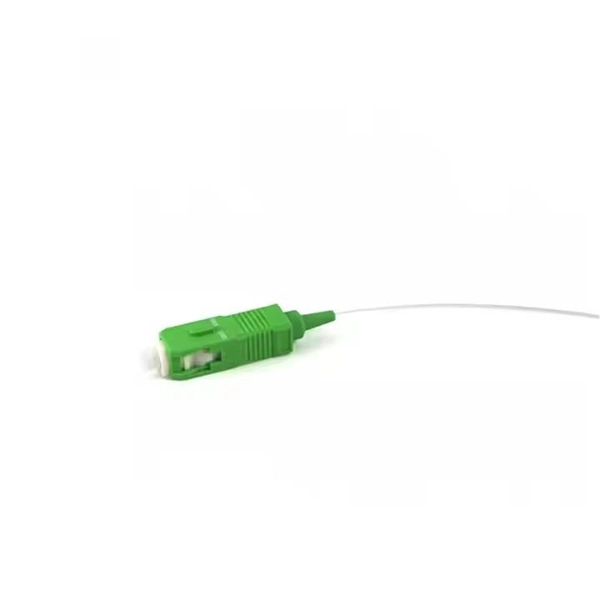 Enterprise Passive Optical Network Cabling