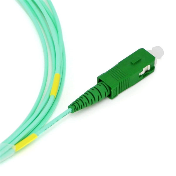 The fiber optic cable to the home has two patch cords